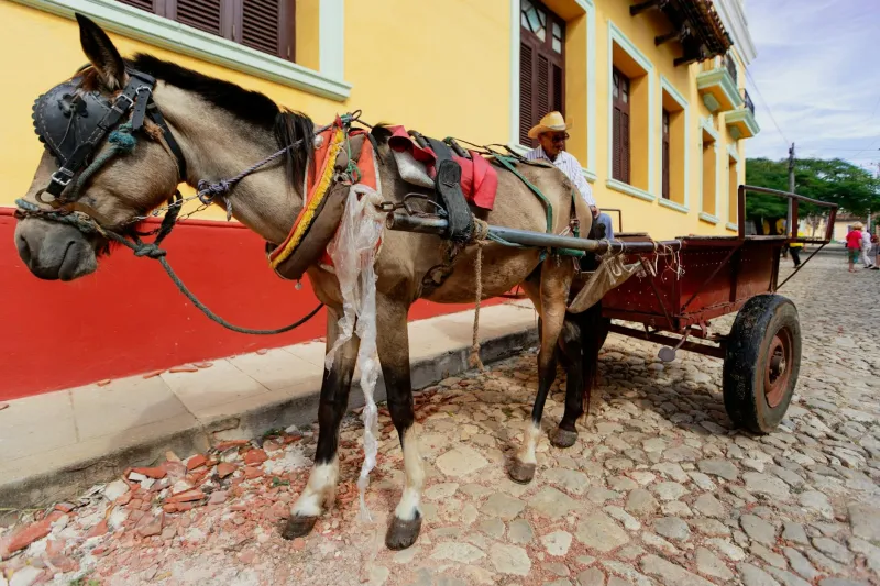 When Your Doorstep Was a Daily Appointment — Before Amazon Turned Delivery Into Digital Strangers